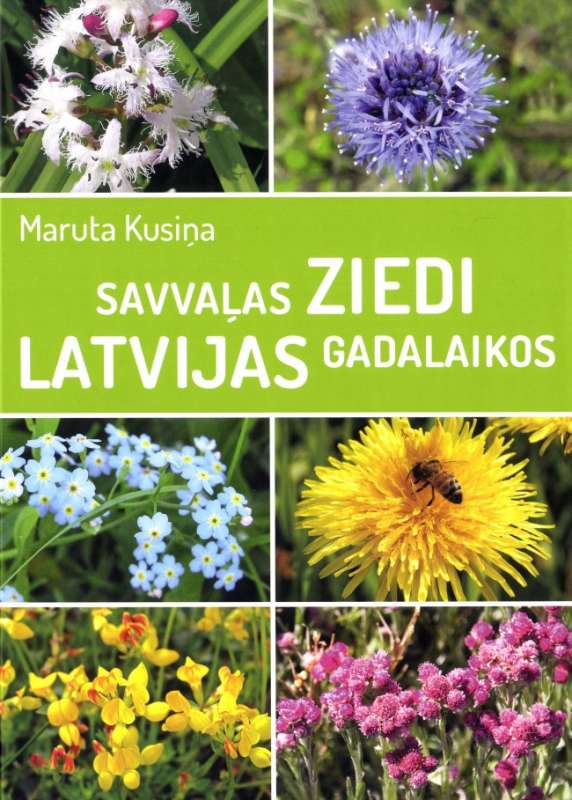 Savvaļas ziedi Latvijas gadalaikos