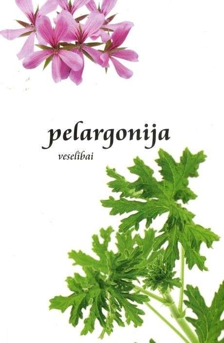 Pelargonija veselībai