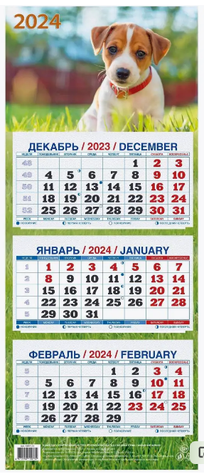 Календарь квартальный настенный трехблочный Забавный щенок 2024