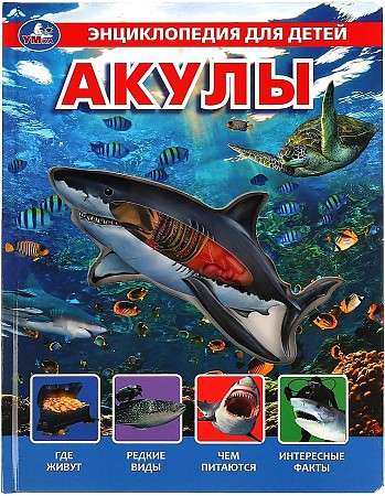 Акулы. Энциклопедия для детей