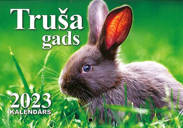 Настенный календарь  2023. г. A4 Год кролика