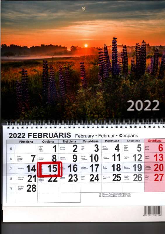 Настенный календарь 2022 A4 (3 месяца / 3 части / 3 спирали)