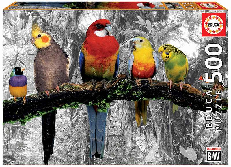 Puzzle EDUCA с клеем Попугаи в джунглях , 500 деталей