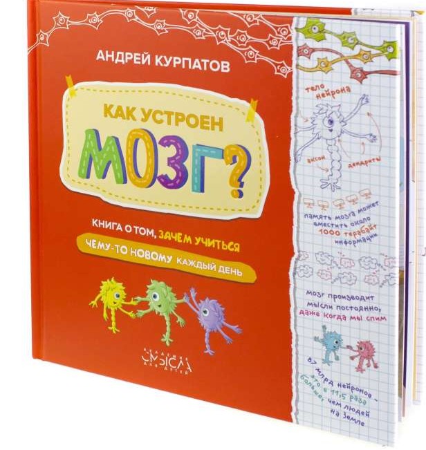 Как устроен мозг? Книга о том, зачем учиться чему-то новому каждый день