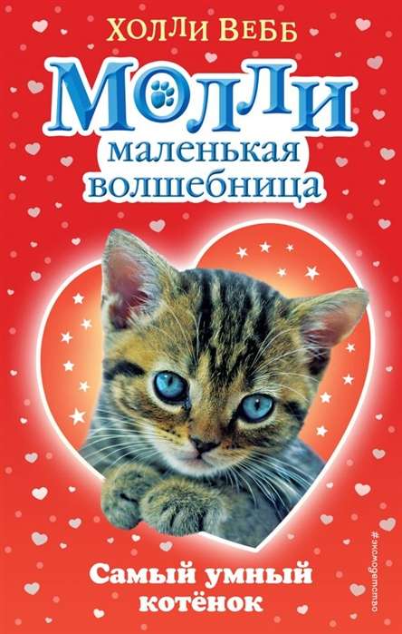 Самый умный котёнок