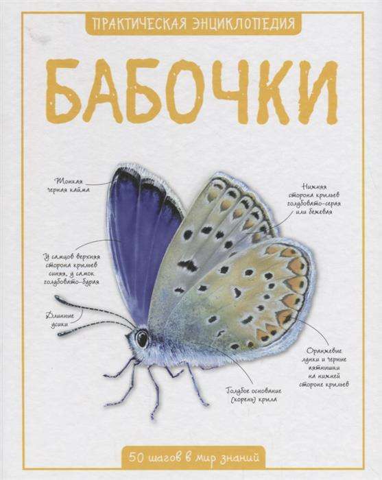 Бабочки. 50 шагов в мир знаний