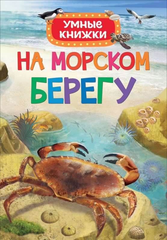 На морском берегу