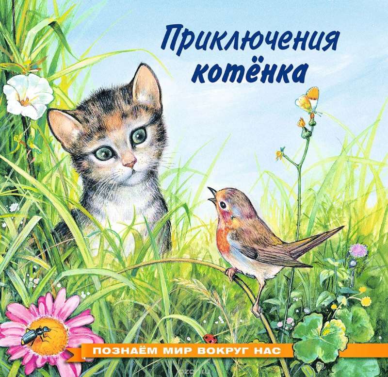 Приключения котенка