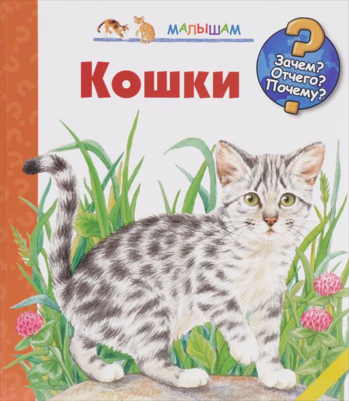 Кошки