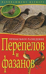 Прибыльное разведение перепелов и фазанов