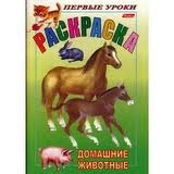 Раскраска. Домашние животные