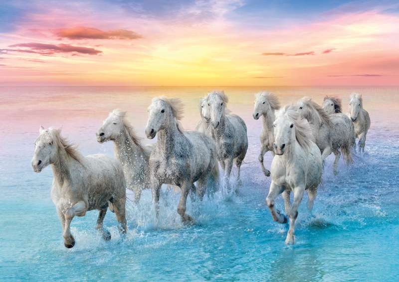 Пазл 500 Trefl: Galloping white horses