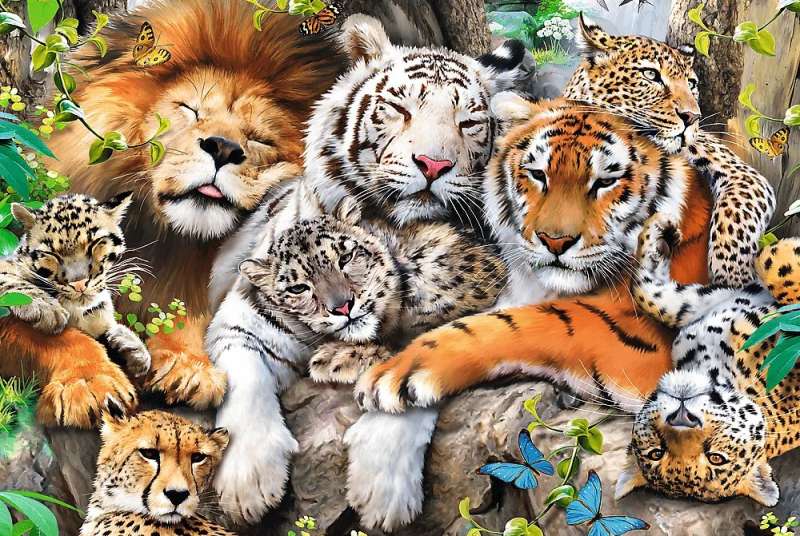 Пазл 500+1 Trefl: Wild Cats in the Jungle