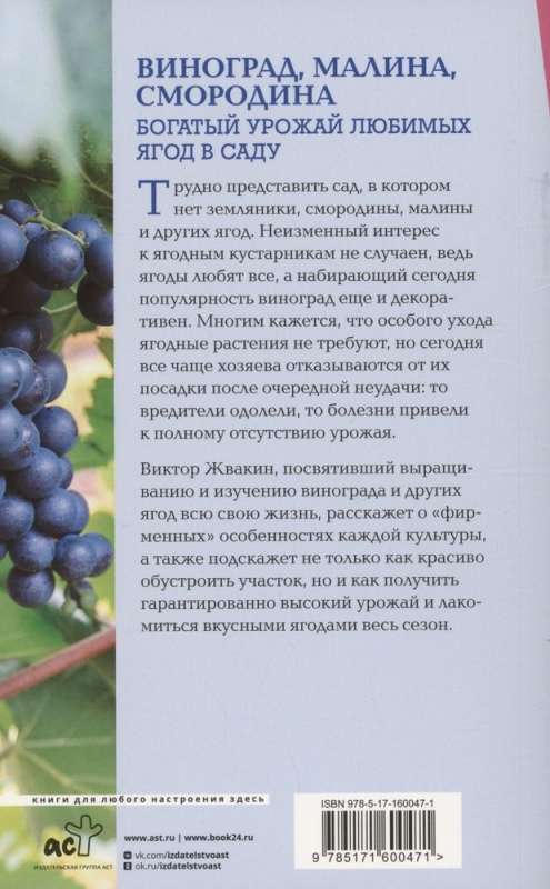 Виноград, малина, смородина. Богатый урожай любимых ягод в саду