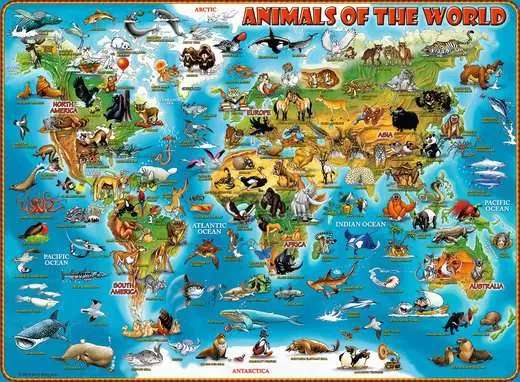 Пазл 300 Животный мир
