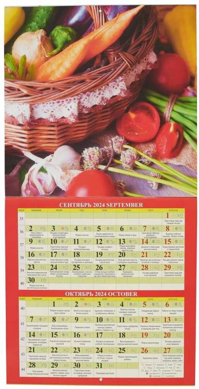 Календарь 2024г 285*285 Сад и огород. Лунный календарь настенный, на скрепке