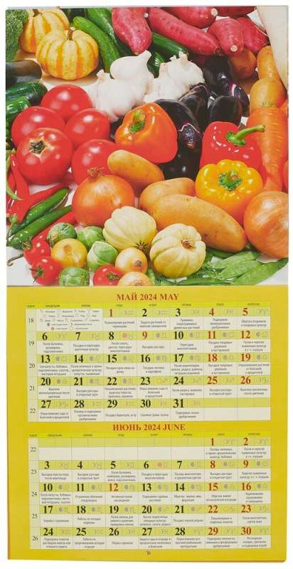 Календарь 2024г 285*285 Сад и огород. Лунный календарь настенный, на скрепке