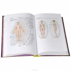 Тонкое тело: Полная энциклопедия биоэнергетической медицины
