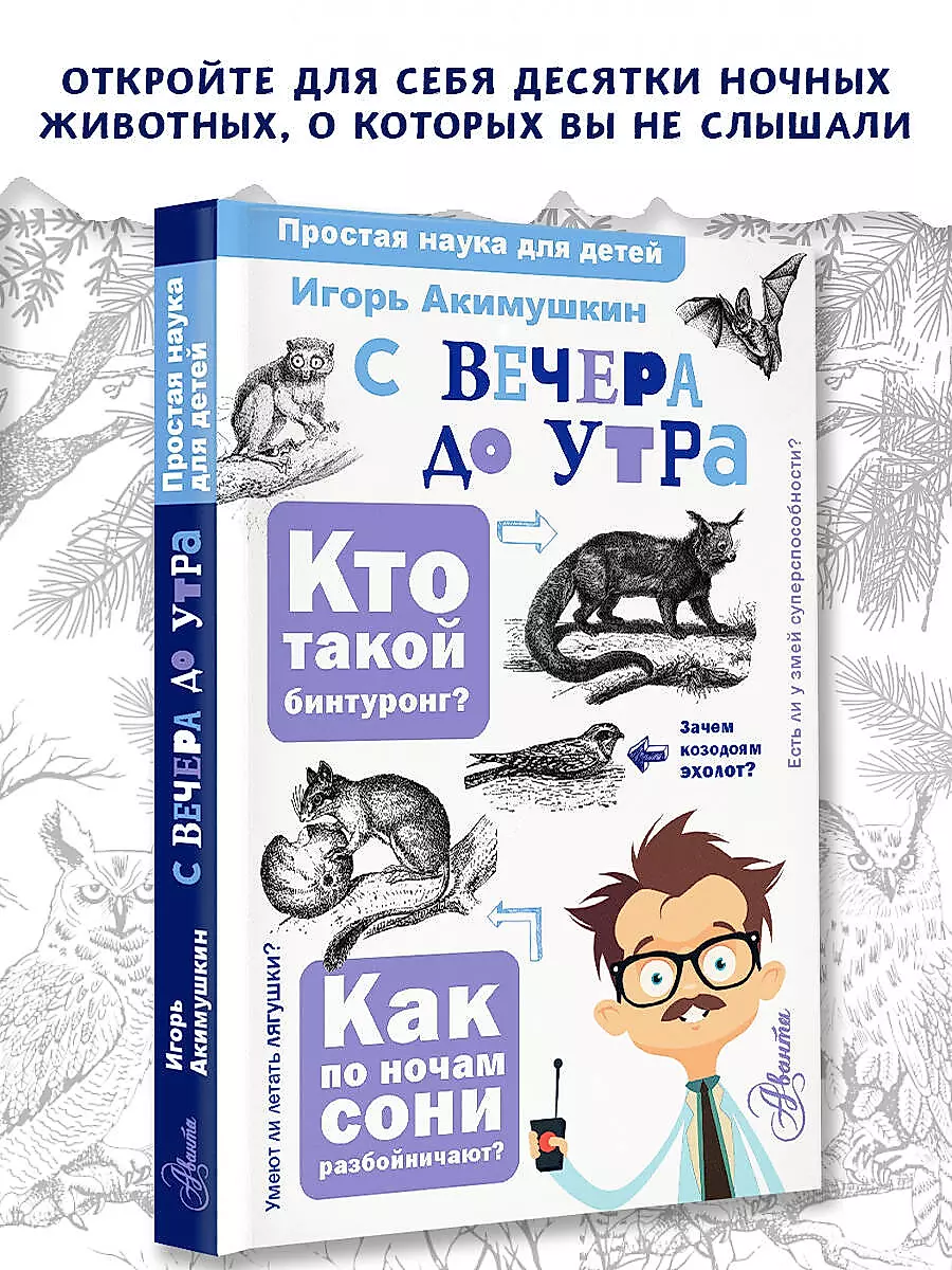 С вечера до утра