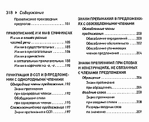 Rusų kalba. EGĖ raštinės lapeliai (kišeninis formatas)