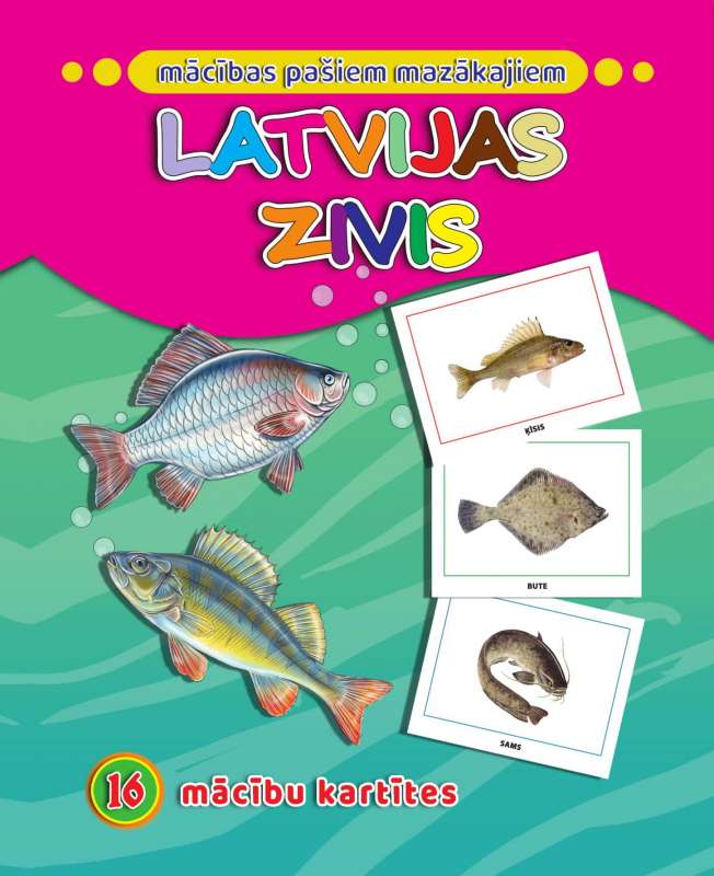 Latvijas zivis. 16 apmācības kartiņas